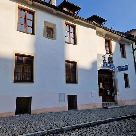 Pension U Martina Domažlice Esterno foto