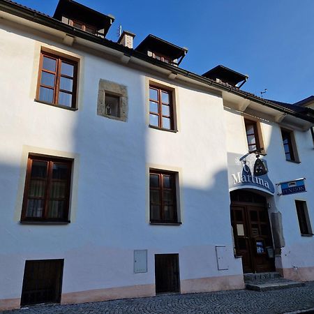 Pension U Martina Domažlice Esterno foto